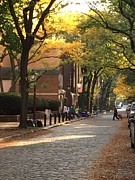 Delancey Fall Photograph by Philly Photos