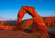 Delicate Arch Photograph by Darren Bradley