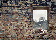 Delusion Photograph by Prakash Ghai