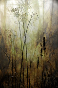 Destiny Of The Silence Photograph by Michael Eingle