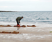 Digging On A Beach Photograph by Science Photo Library