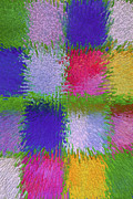 Digital Patchwork Photograph by Diane Macdonald