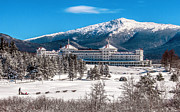 Dog Sled at The Mount Washington Hotel Photograph by Thomas Lavoie