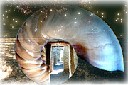 Doors to the Multiverse Digital Art by Lisa Yount