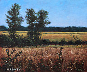 Dorset Countryside Golden Fields in Summer Painting by Martin Davey