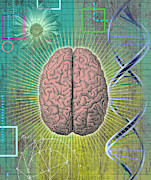 Double Helix And Diagram Next Photograph by Ikon Ikon Images Double Helix And Diagram Next Photograph by Ikon Ikon Images