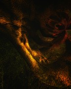 Dreamscape 01 Digital Art by Mimulux Patricia No