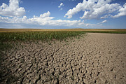 Dried Up Natural Pond Photograph by Science Photo Library