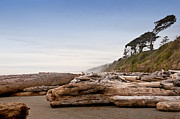 Drift Logs Tossed Like Pick-Up Sticks Upon Pacific Coast Beach Photograph by Jo Ann Tomaselli Drift Logs Tossed Like Pick-Up Sticks Upon Pacific Coast Beach Photograph by Jo Ann Tomaselli