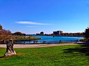 Druid Hill Park Photograph by Chris Montcalmo