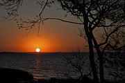 Duck Sunset Photograph by Ronald Lutz