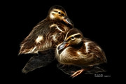 Duckling Duo - 9530 F C Digital Art by James Ahn
