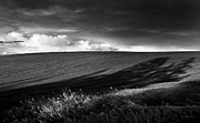 Earth Voices Photograph by Theresa Tahara