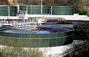 Effluent Treatment Photograph by Science Photo Library