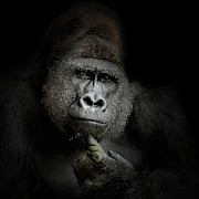Ego Cogito, Ergo Sum Photograph by Artistname