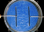 Electric Field Experiment Photograph by Science Photo Library