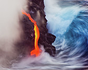 Elements Of Nature Photograph by Andrew J. Lee