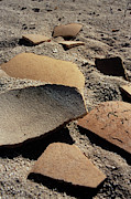 Elephant Bird Egg Fragments Photograph by Science Photo Library