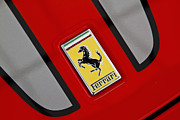 Emblem 7 Photograph by Dennis Hedberg
