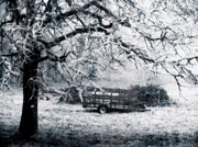 Enchanted Pasture Photograph by Rory Siegel