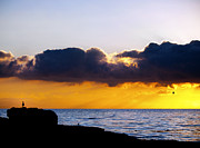 End of Day on the Pacific Photograph by Joe Schofield