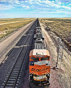 Endless Coal Trains Photograph by Cathy Anderson