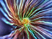 Energy - Abstract  Photograph by Marianna Mills