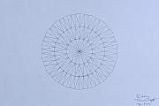 Energy Wave 20 Degree Frequency Drawing by Jason Padgett
