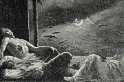 Engraving Of Vampire Bats Photograph by Science Photo Library