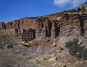 Eroded Red Sandstone, Utah Photograph by Charlie Ott