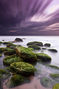 Ethereal Photograph by Jorge Maia