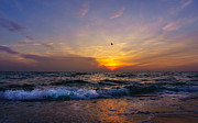 Evening flight Photograph by Dmytro Korol