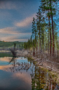 Evening on the Banks of a Beaver Pond Photograph by Omaste Witkowski