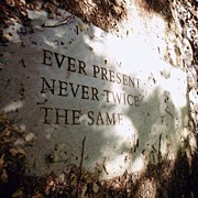 Ever Present, Never Twice The Same Photograph by Natasha Marco