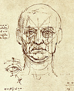 Facial Anatomy Photograph by Science Photo Library