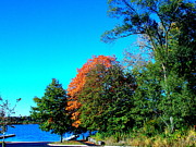 Fall at the Docks Photograph by Darren Robinson