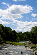 Fall Creek Summer Photograph by Monroe Payne