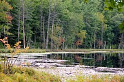 Fall is coming Photograph by Deena Withycombe