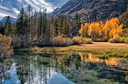 Fall Reflections Photograph by Cat Connor