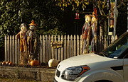 Fall Photograph by Ron Roberts