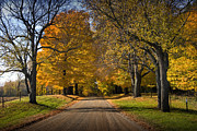 Fall Rural Country Gravel Road Photograph by Randall Nyhof Fall Rural Country Gravel Road Photograph by Randall Nyhof