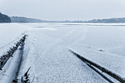 Fallen and Frozen Photograph by Bryan Bzdula