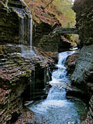 Falls at the Glen Photograph by Azthet Photography