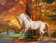 Fall's Fancy Photograph by Melinda Hughes-Berland