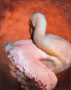 Fancy Dancer Photograph by Melinda Hughes-Berland