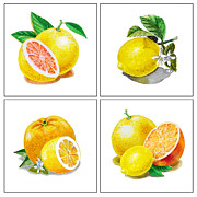 Farmers Market Gifts Vitamin C Painting by Irina Sztukowski