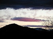 Feather in the Sky Photograph by William McCoy