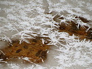 February Ice Photograph by Azthet Photography