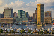 Federal Hill View To The Baltimore Skyline Photograph by Susan Candelario Federal Hill View To The Baltimore Skyline Photograph by Susan Candelario