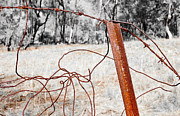 Fence Photograph by Steven Ralser Fence Photograph by Steven Ralser